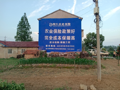 柳城墙体广告为何受追捧？